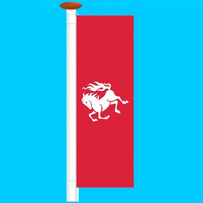 Banier streek Twente (Twentse Ros)