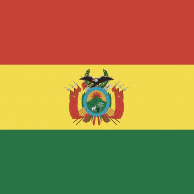 Gebruikte vlag Bolivia