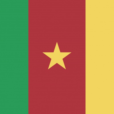 Gebruikte vlag Kameroen