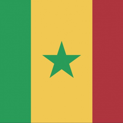 Gebruikte vlag Senegal
