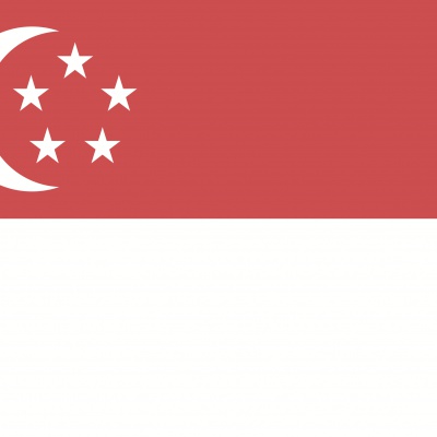 Gebruikte vlag Singapore