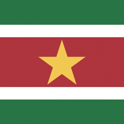 Gebruikte vlag Suriname