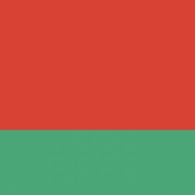 Gebruikte vlag Wit-Rusland