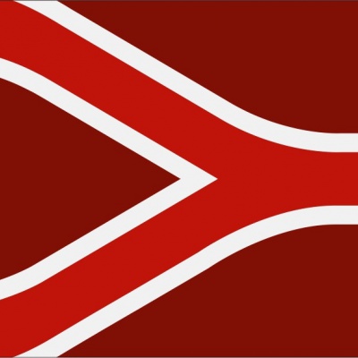 Regio (punt)vlaggen &amp; Banieren