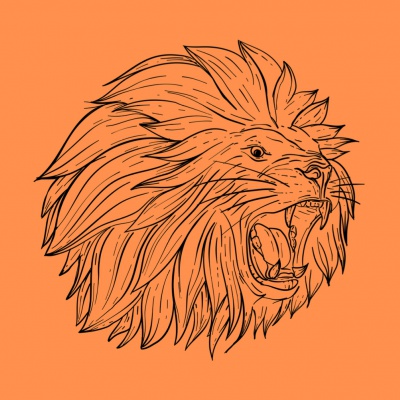 Vlag Holland Leeuw 3