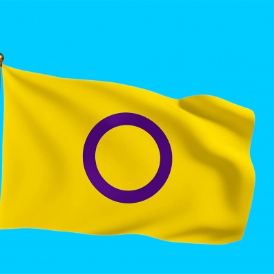Vlag Intersekse Vlag Intersekse