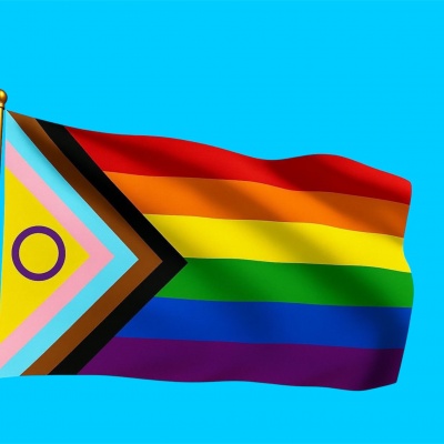Vlag Intersekse Progress