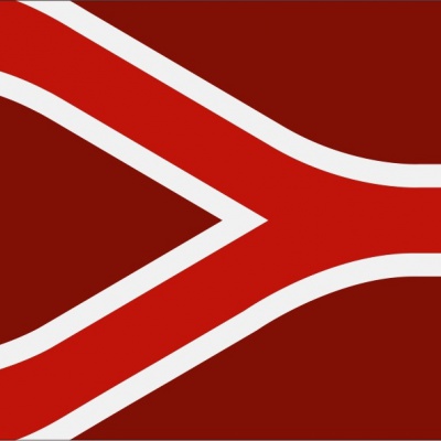 Vlag streek Liemers