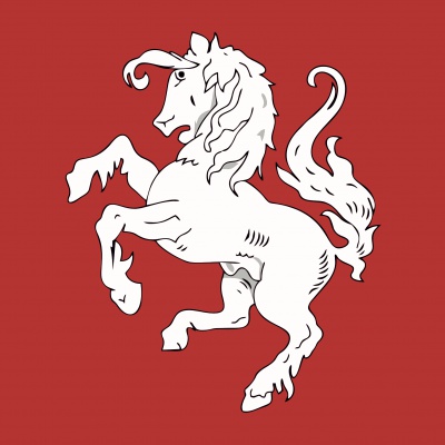 Vlag streek Twente (Twentse Ros)