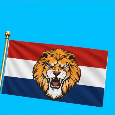 (punt)vlaggen & banieren Holland EK & WK (punt)vlaggen & banieren Holland EK & WK