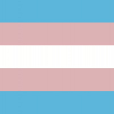 (punt)vlaggen & banieren; Transgender