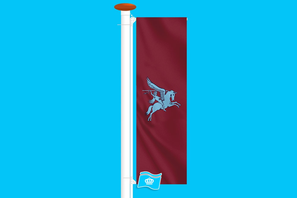 Airborne banier Pegasus 100x300