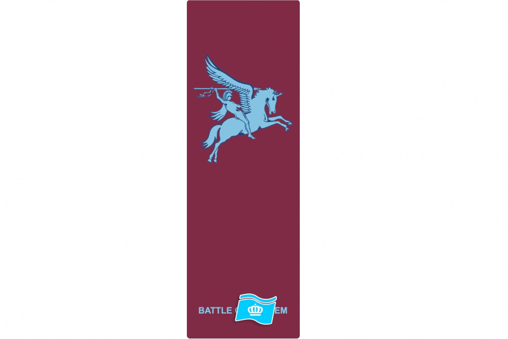 Banier Airborne Battle of Arnhem 100x300 cm