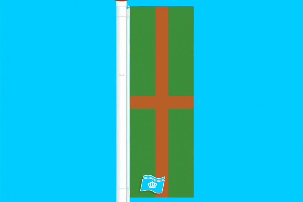 Banier Nijmeegse 4daagse, Nijmeegse vierdaagse 120x300 cm