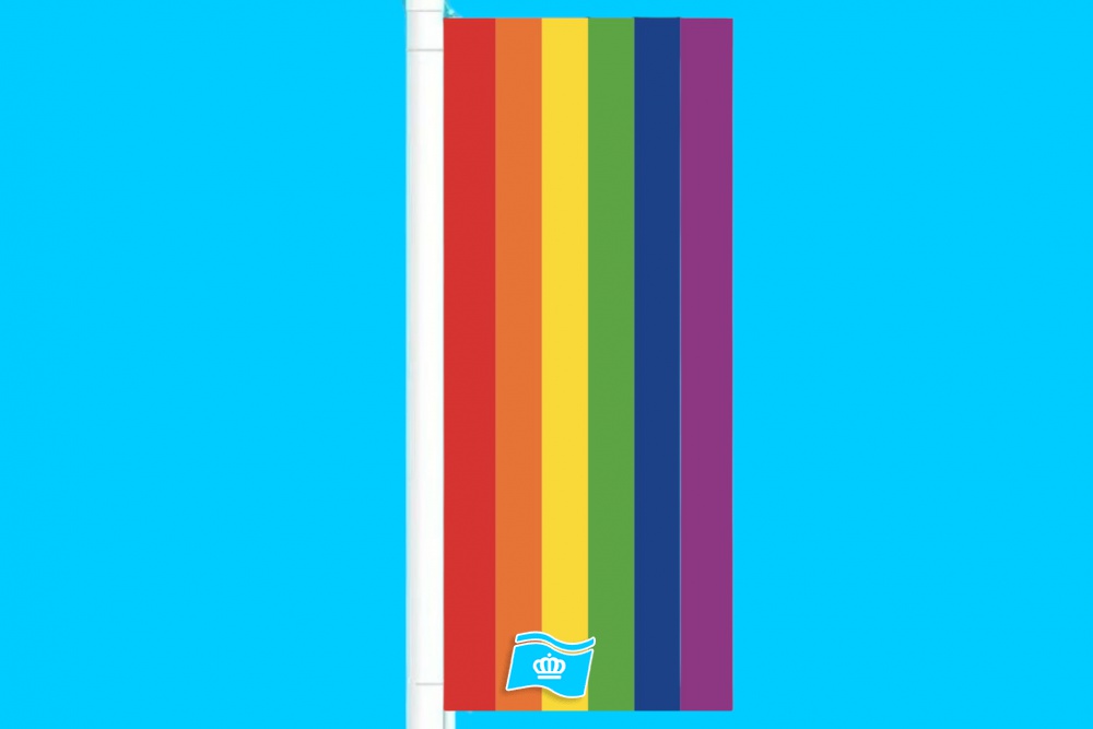 Banier Regenboog verticaal 100x300 cm
