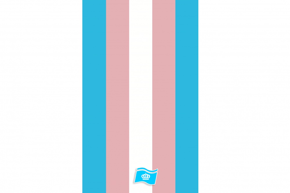 Banier Transgender 100x300 cm