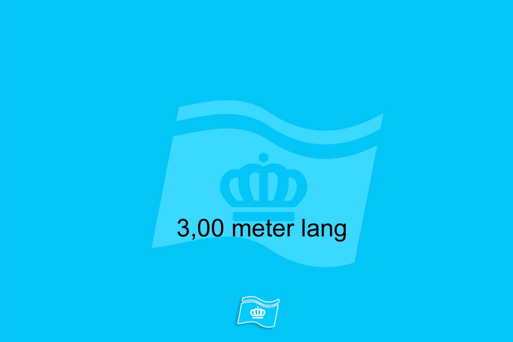 Cameramast van 3,00 meter lang