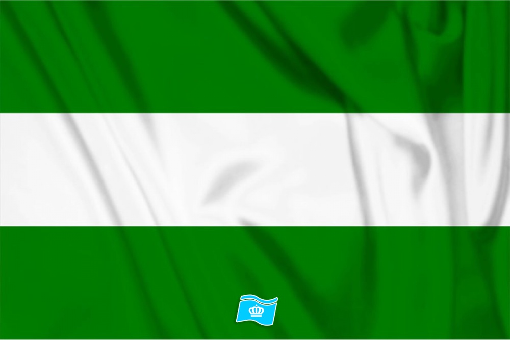 Decoratie Vlag Rotterdam 100x150 cm
