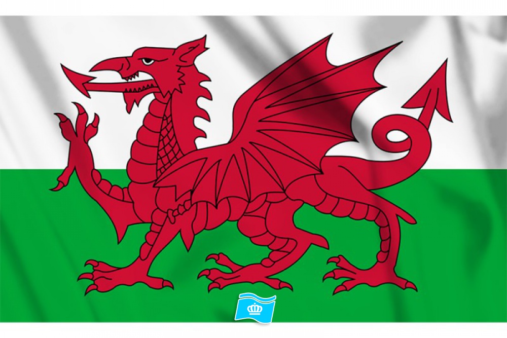 Decoratie Vlag Wales 100x150 cm