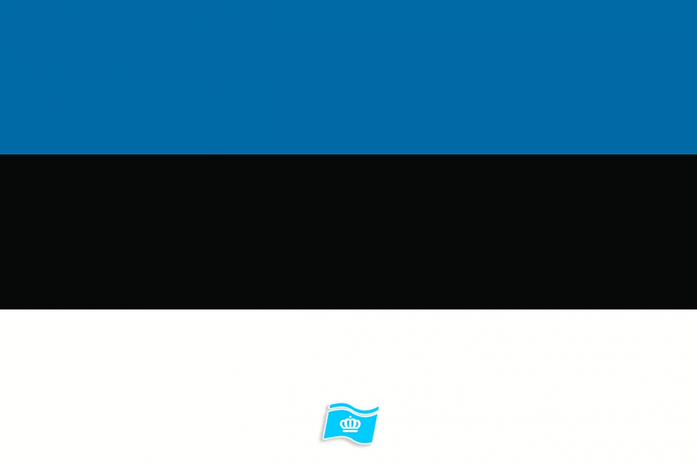 Gebruikte vlag Estland 150x225 cm, uitverkoop
