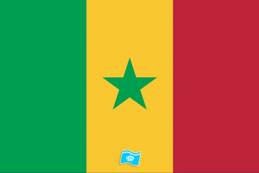 Gebruikte vlag Senegal 100x150 cm, uitverkoop Gebruikte vlag Senegal 100x150 cm, uitverkoop