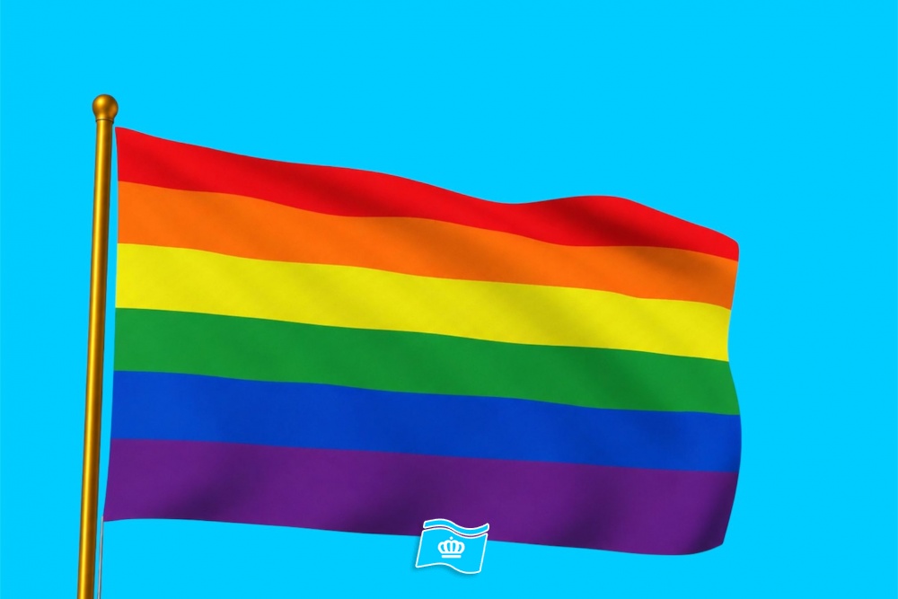 Regenboogvlag 100 x 150 cm – 115 grams glanspolyester