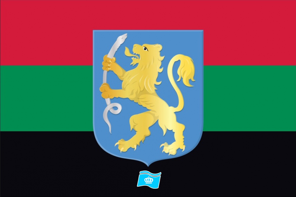 Vlag Aalsmeer met wapen 70x100 cm