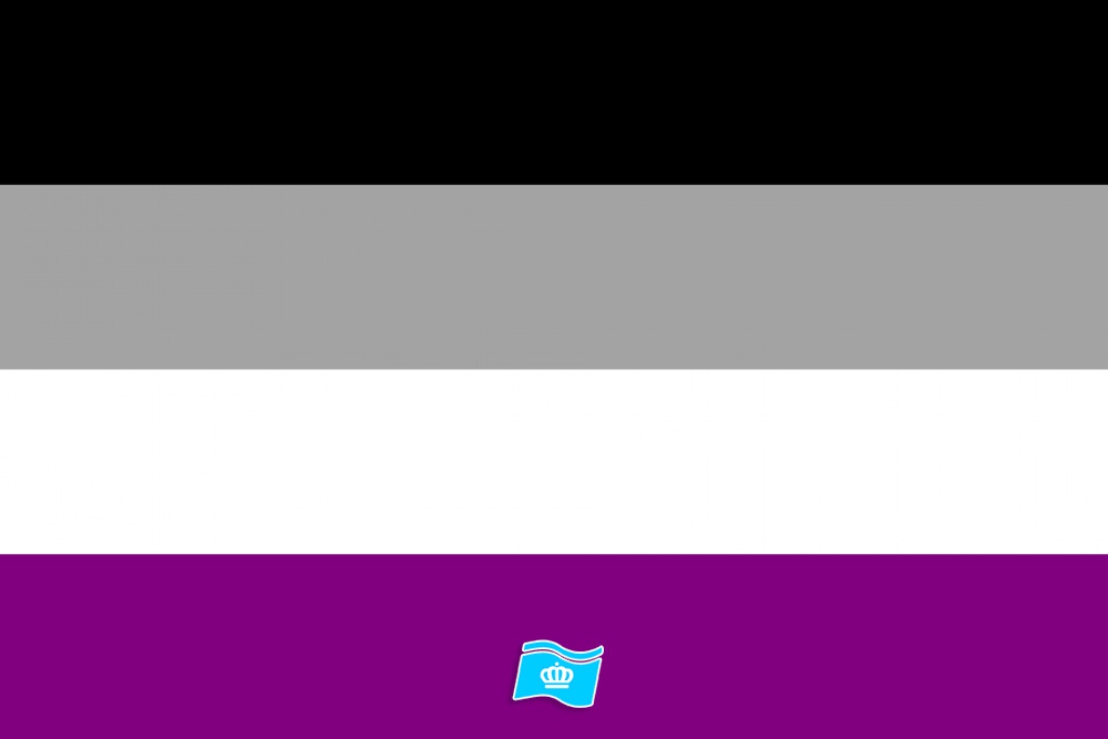 Vlag Aseksualiteit 70x100 cm