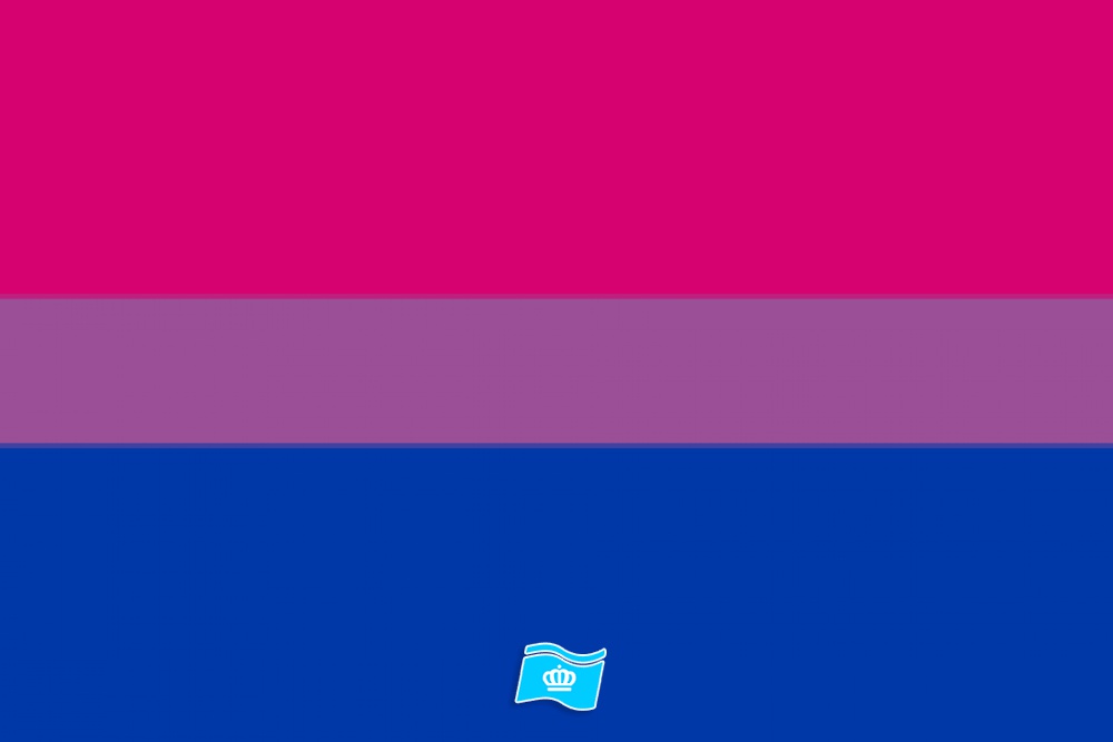Vlag Biseksualiteit 70x100 cm