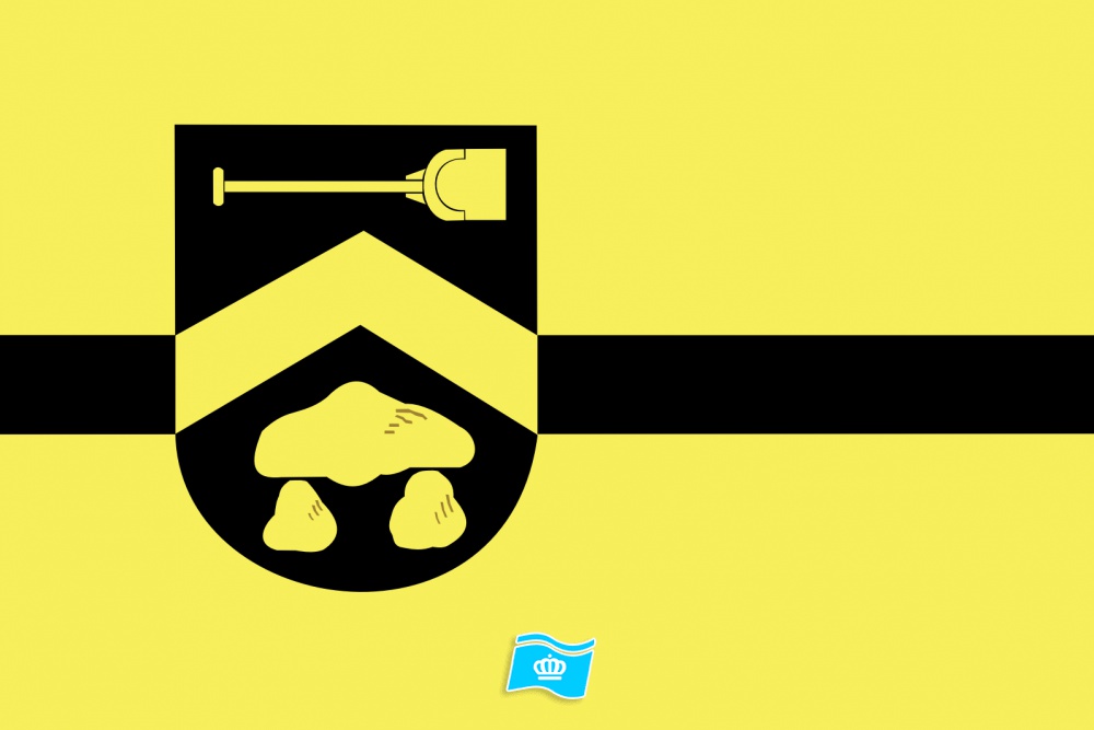 Vlag Borger-Odoorn 70x100 cm