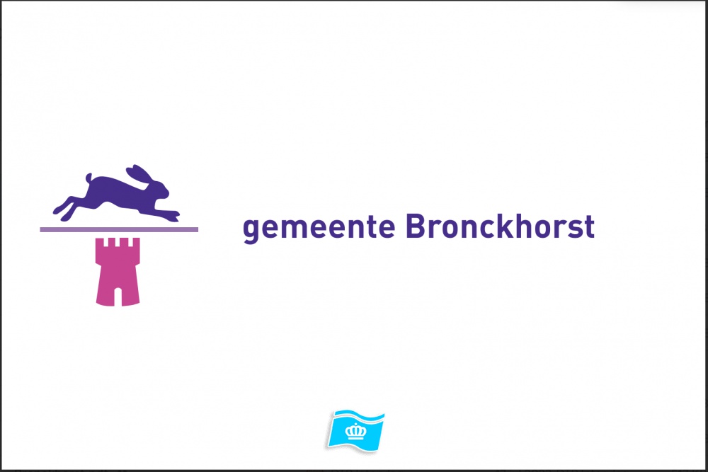 Vlag Bronckhorst 70x100 cm