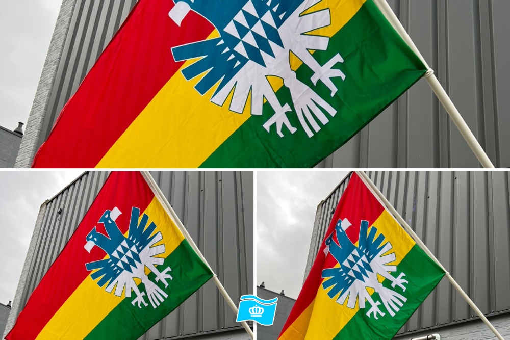 Vlag Carnaval Arnhem 100x150 cm