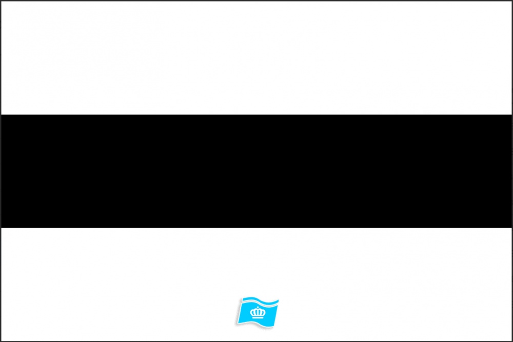 Vlag Delft 70x100 cm
