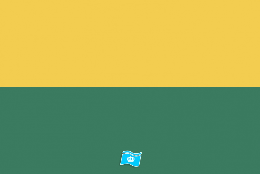 Vlag Den Haag 70x100 cm