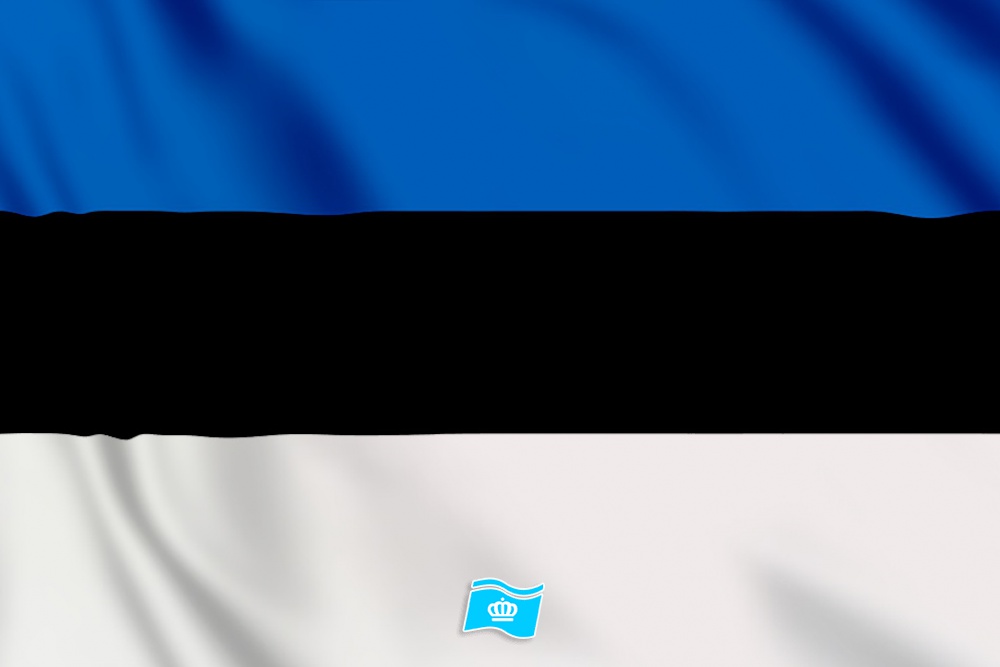 vlag Estland 100x70