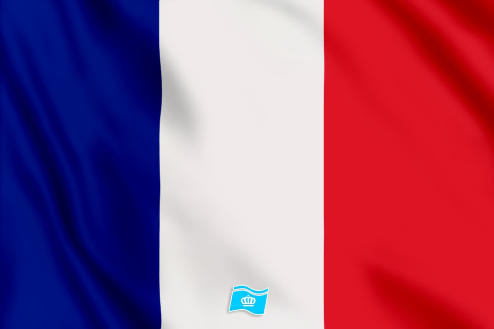 vlag Frankrijk 100x70