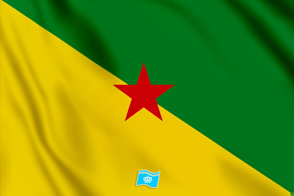Vlag Frans-Guyana 100x70