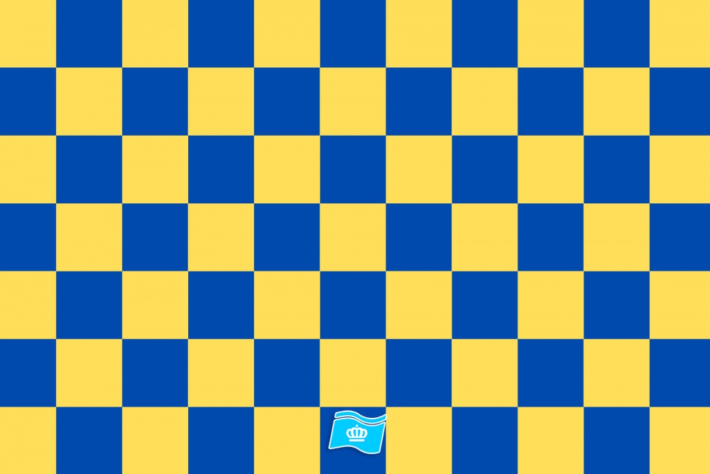 Vlag geblokt blauw - geel 70x100 cm