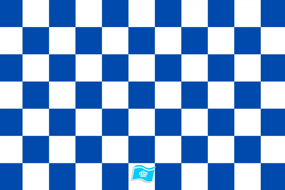 Vlag geblokt blauw - wit 70x100 cm
