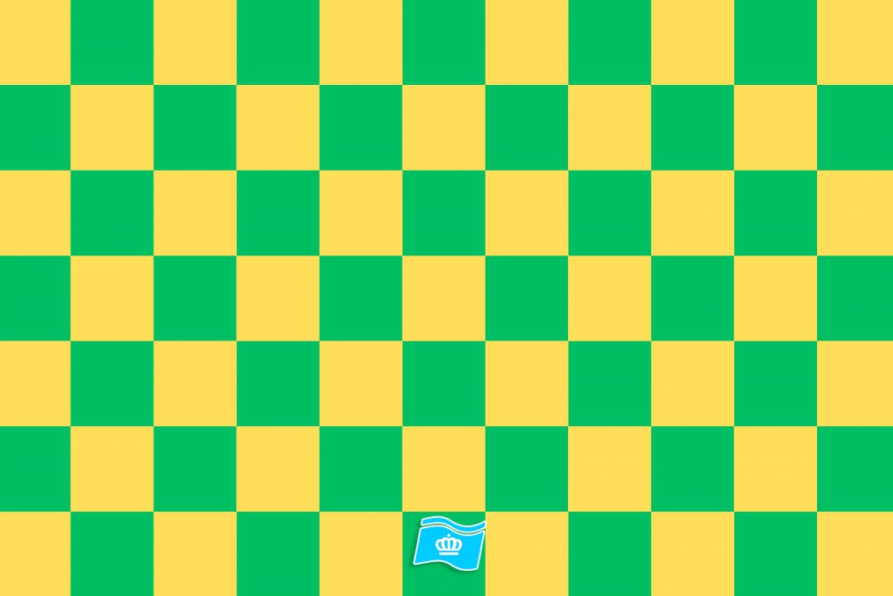 Vlag geblokt geel - groen 70x100 cm