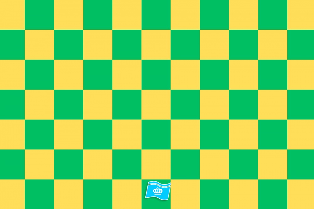 Vlag geblokt geel - groen 70x100 cm