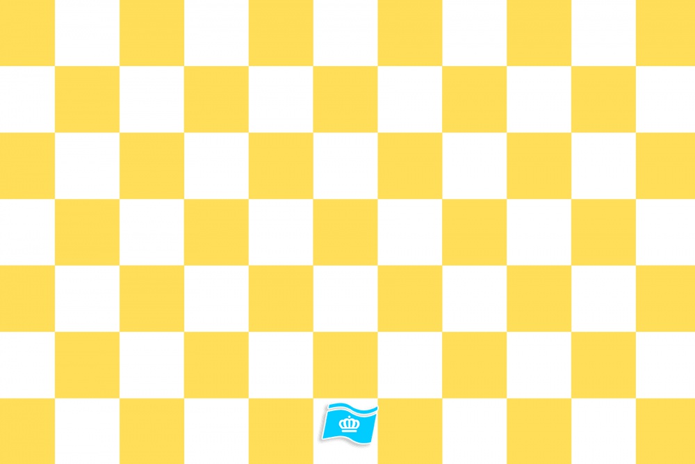 Vlag geblokt geel - wit 70x100 cm