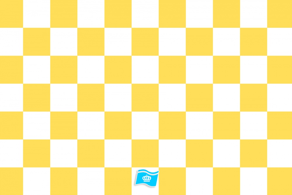 Vlag geblokt geel - wit 70x100 cm
