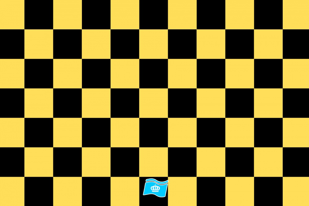 Vlag geblokt geel - zwart 70x100 cm