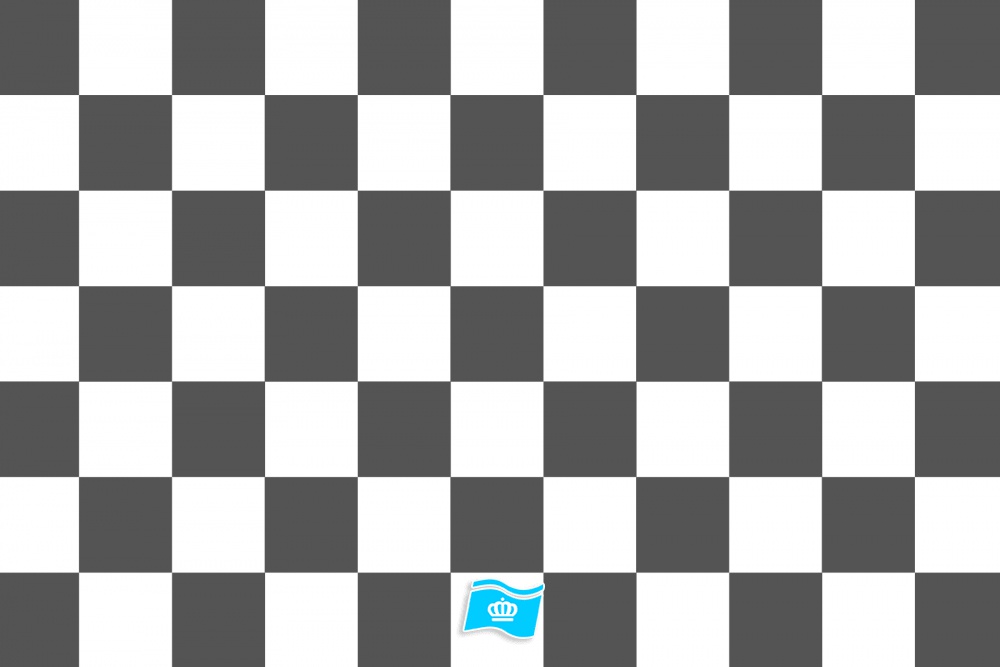 Vlag geblokt grijs - wit 70x100 cm