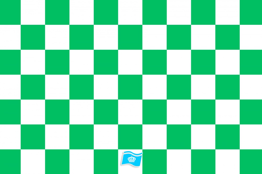 Vlag geblokt groen - wit 70x100 cm