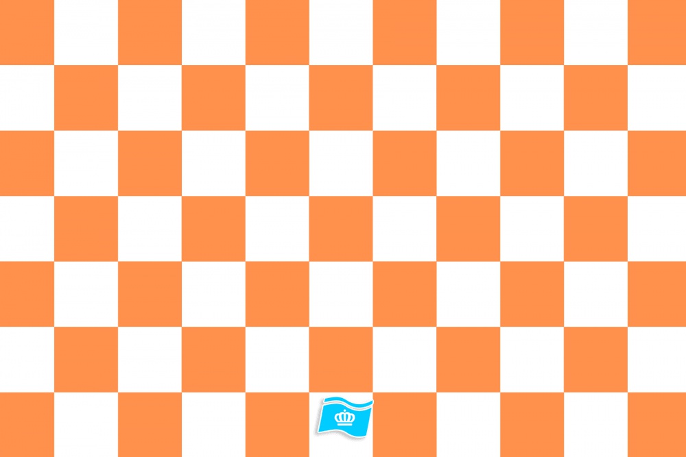 Vlag geblokt oranje - wit 70x100 cm