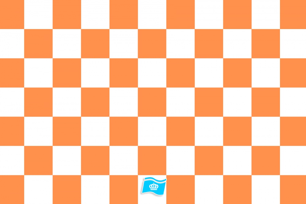 Vlag geblokt oranje - wit 70x100 cm