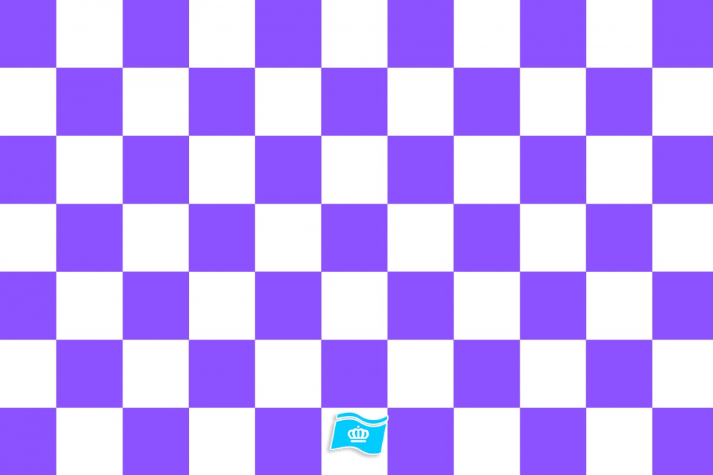Vlag Geblokt paars - wit 70x100 cm