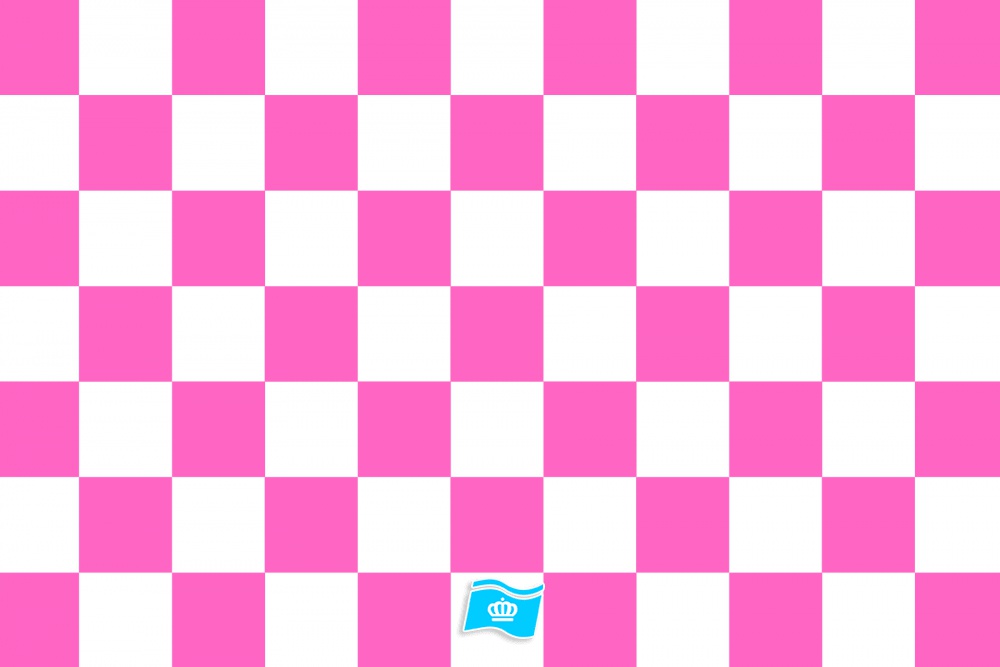 Vlag geblokt roze - wit 70x100 cm